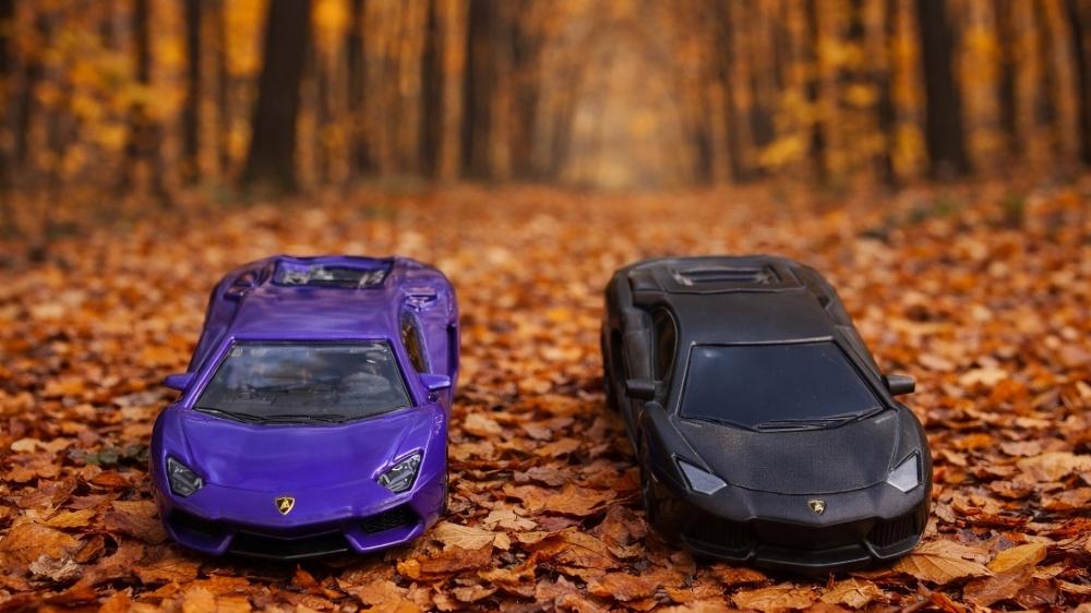 Mini Lamborghini Aventador Duo on Autumn Forest Road wallpaper