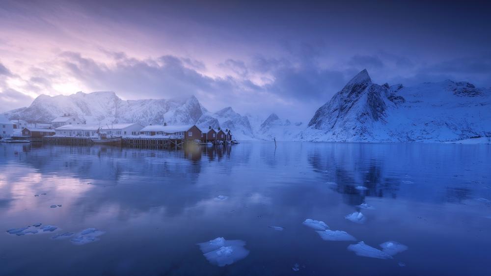 Blue Hour Calm Over a Lofoten Fishing Village in Winter wallpaper