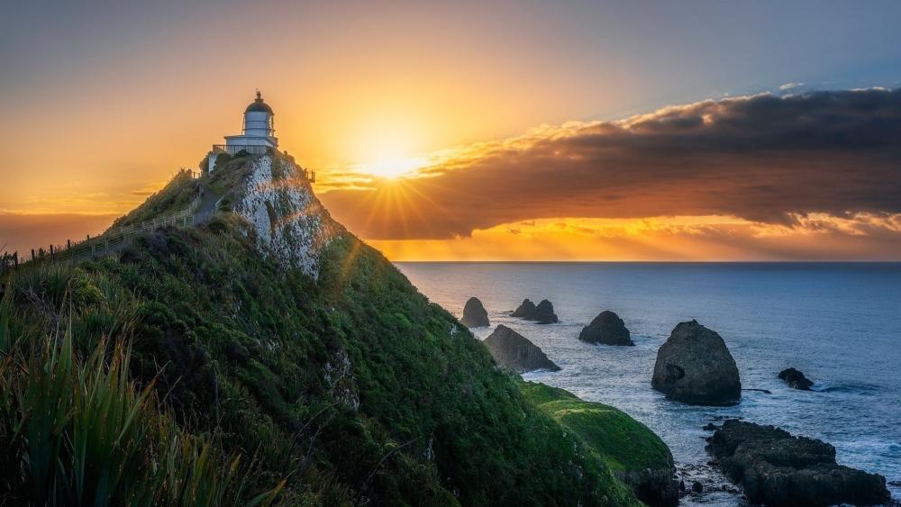 Sunrise Over Nugget Point Lighthouse and Pacific Cliffs in Otago wallpaper