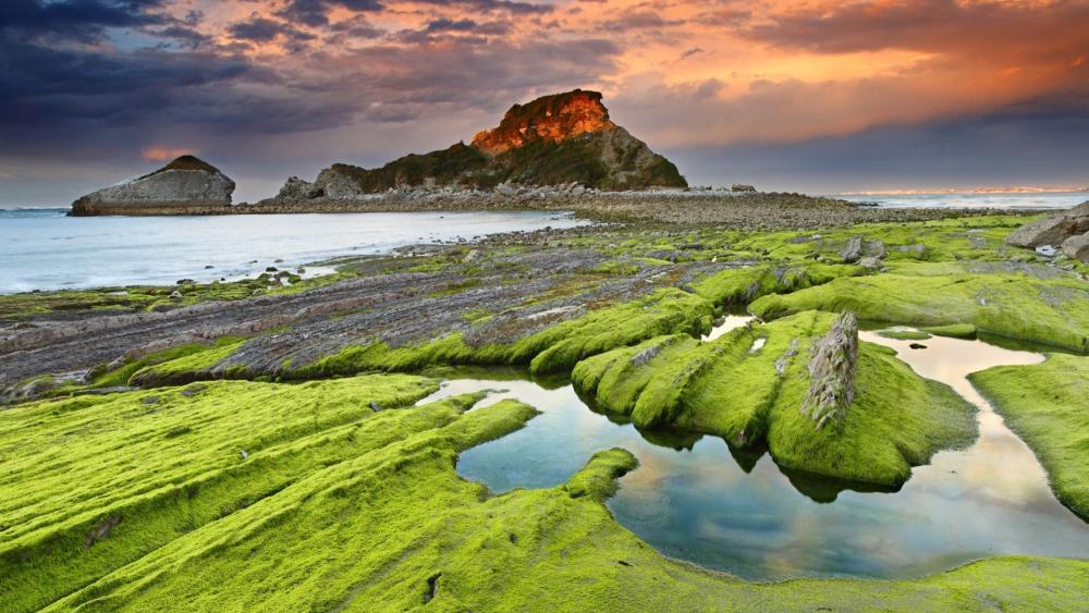 Emerald Algae Flats at Wharariki Beach Sunset wallpaper