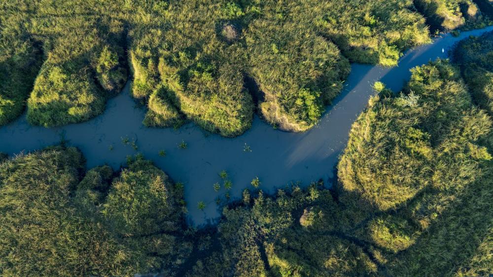 Winding River Channels Through Lush Wetlands Drone View 4K Wallpaper wallpaper