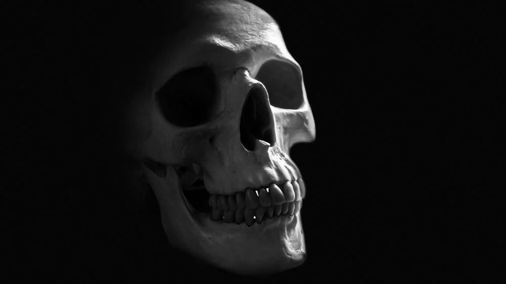 Monochrome Skull Whispering in the Void of Night wallpaper