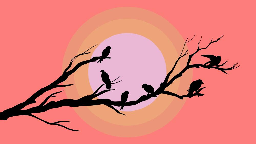 Whimsical Silhouette Birds on Bare Branch Against Pastel Dream Sky wallpaper