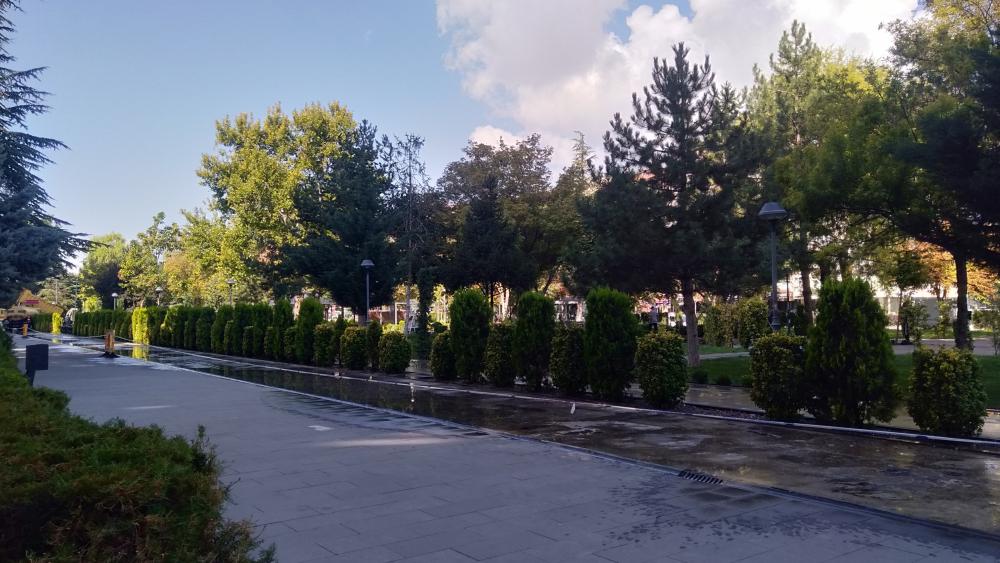 Serene Urban Park Scene with Lush Greenery wallpaper