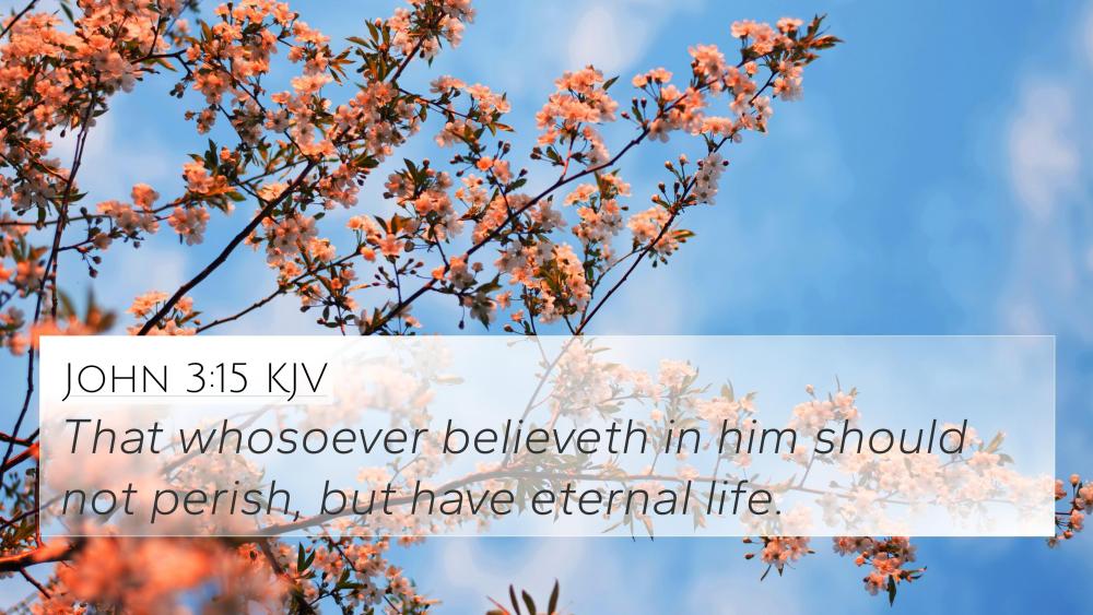 Eternal Life - John 3:15 wallpaper