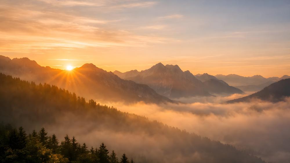 Morning Fog In The Valley wallpaper