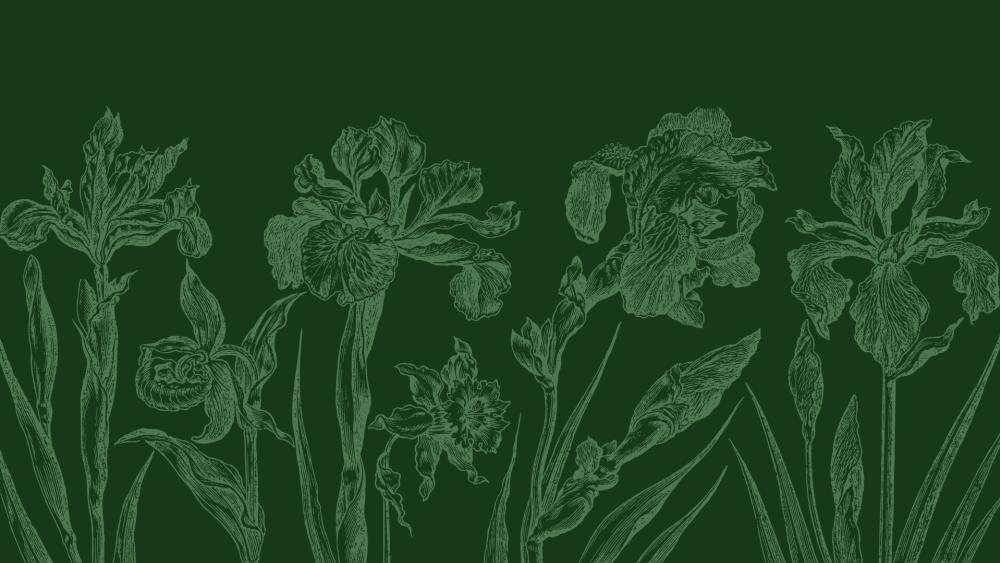 Elegant Green Iris Botanical Pattern wallpaper