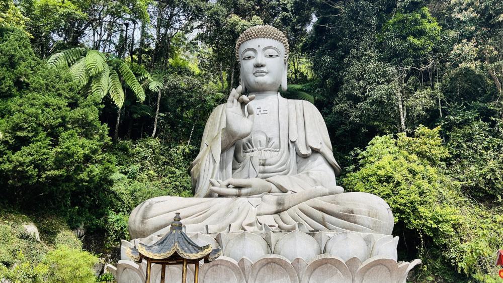 Serene Buddha in Lush Mountain Temple wallpaper
