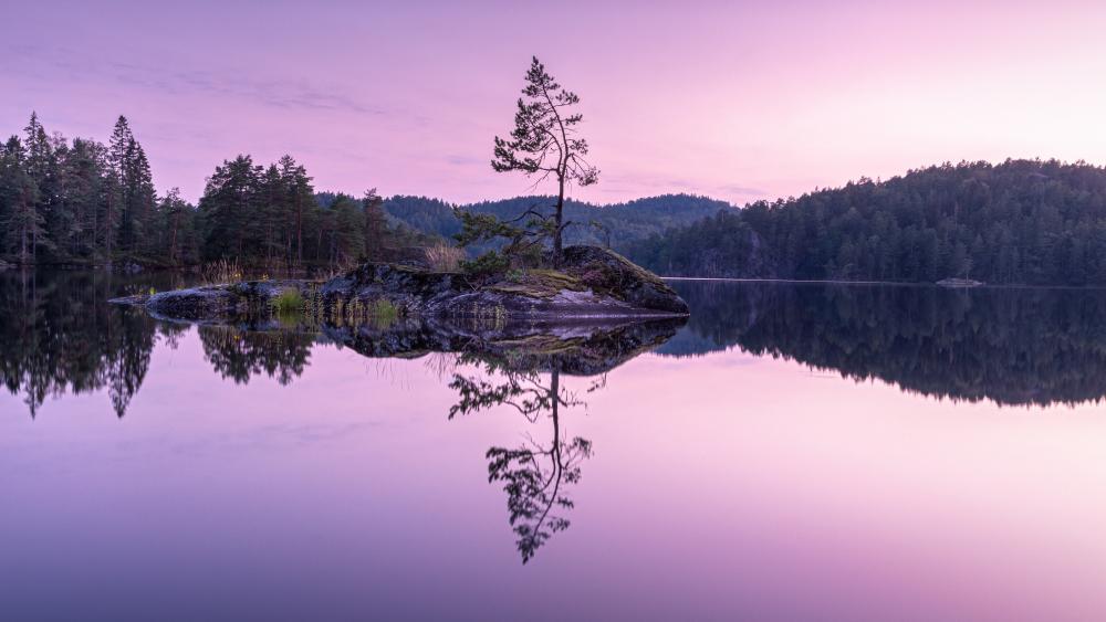 Serene Island Reflection at Tyresta National Park wallpaper