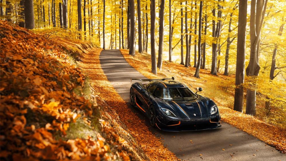 Koenigsegg Agera RS Autumn Drive wallpaper