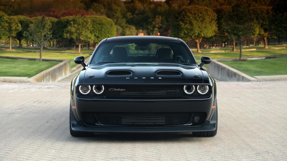 Black Dodge Challenger Presence wallpaper