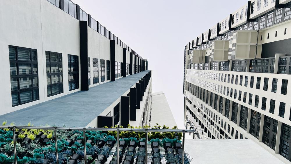 Modern Cityscape from Below with Inviting Greenery wallpaper