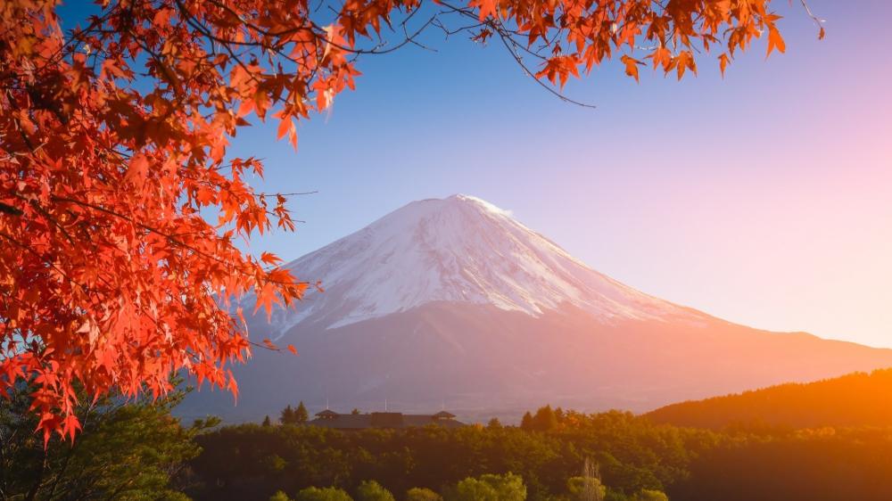 Autumn Glow over Mount Fuji wallpaper