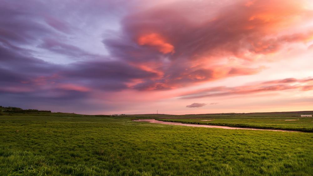 Pastel Dusk Over Open Grassland wallpaper
