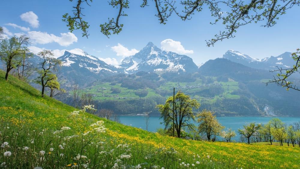 Serene Alpine Lake Valley wallpaper