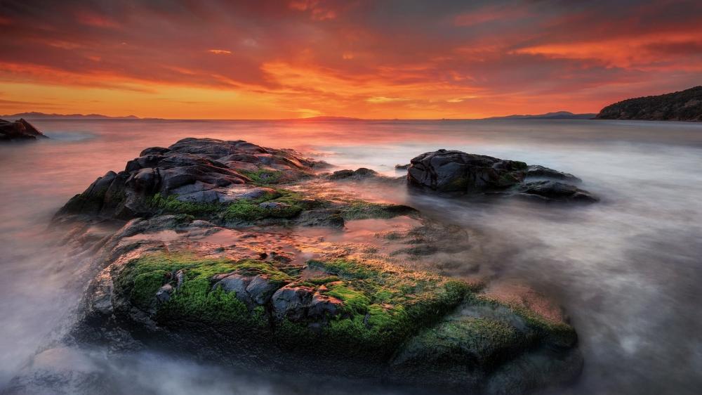 Mossy Rocks at Sunset by the Sea wallpaper