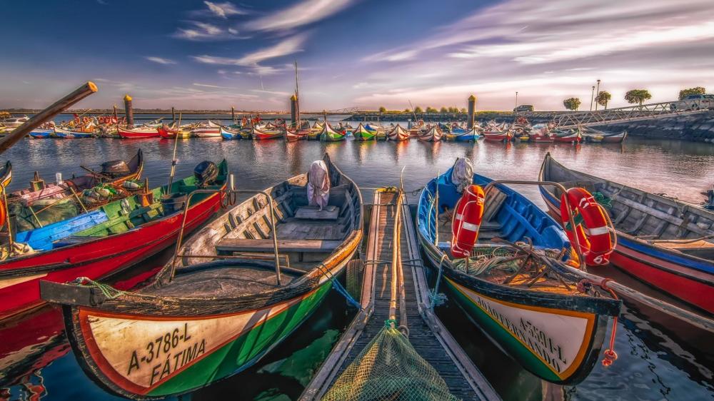 Colorful Moliceiro Boats in Aveiro Harbor wallpaper