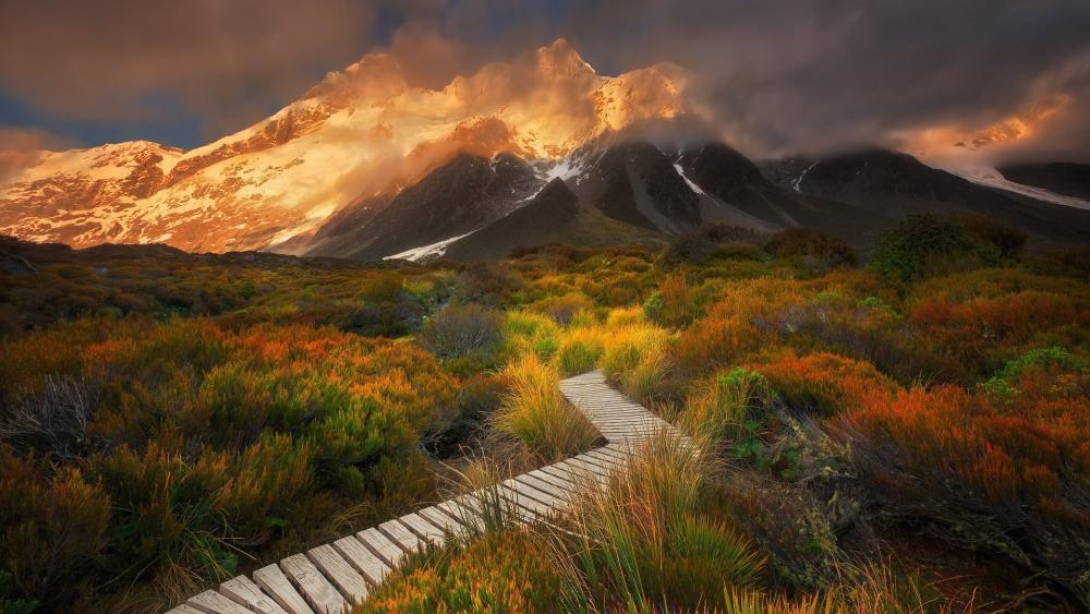 Golden Path Through Autumn Peaks wallpaper
