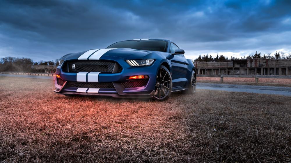 Ford Mustang Shelby GT500 Power wallpaper