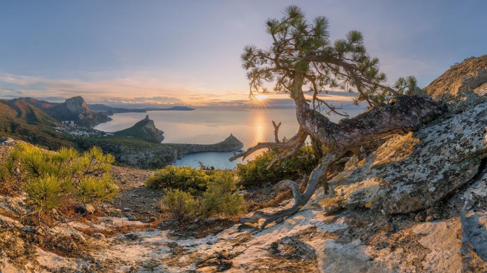 Sunlit Coastal Bay Panorama wallpaper
