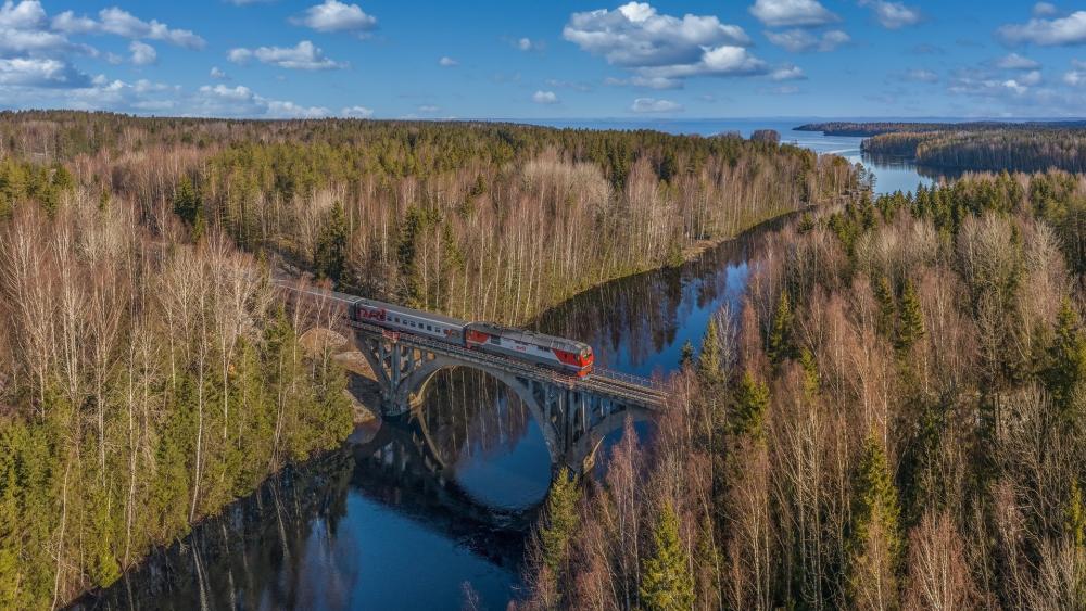 Forest Railway Crossing wallpaper