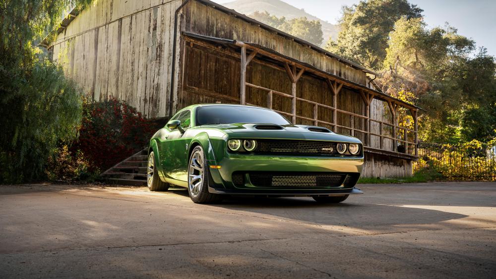 Dodge Challenger Hellcat in Rustic Sunlight wallpaper
