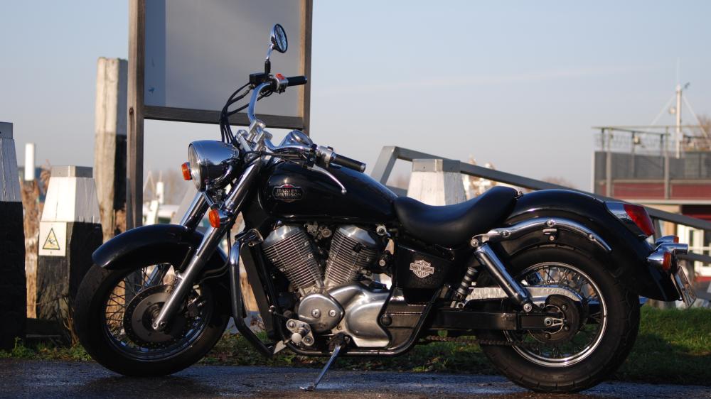 Classic Harley Sportster by the Harbor wallpaper