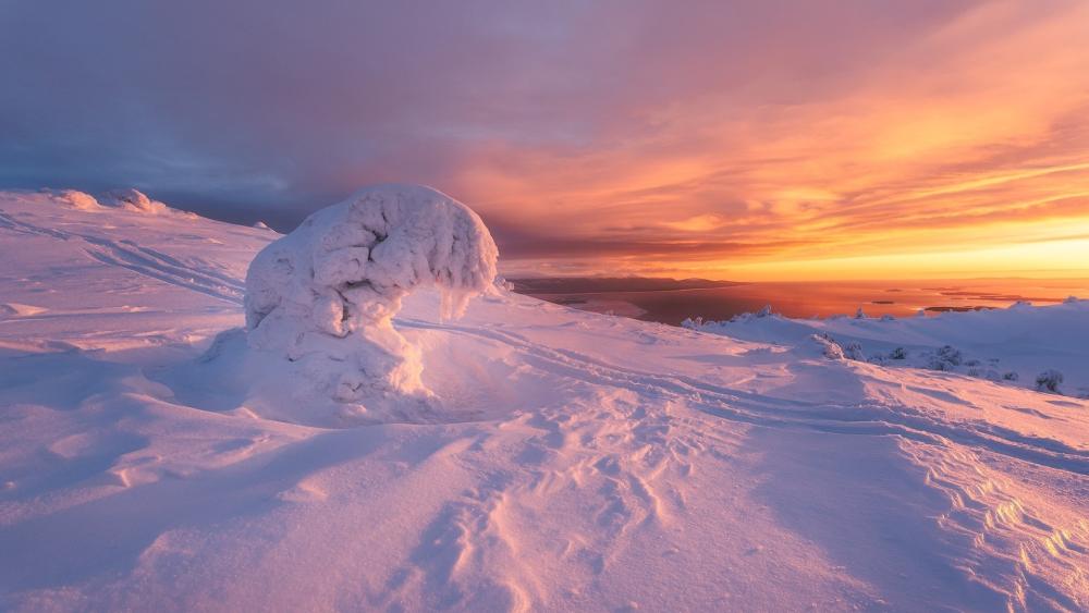 Frozen Arctic Glow Over Kandalaksha wallpaper