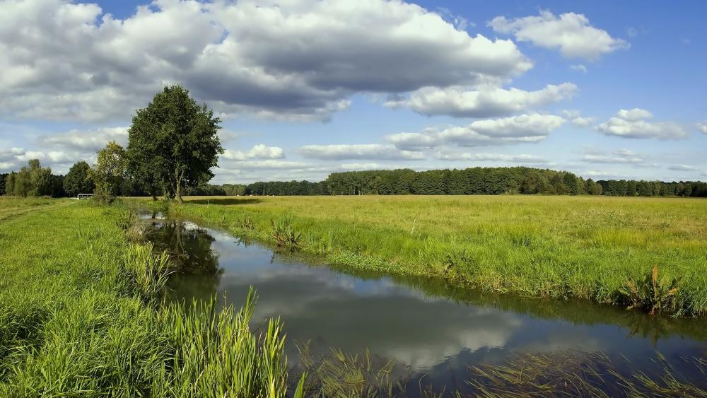 Quiet Meadow Stream Under Open Skies wallpaper