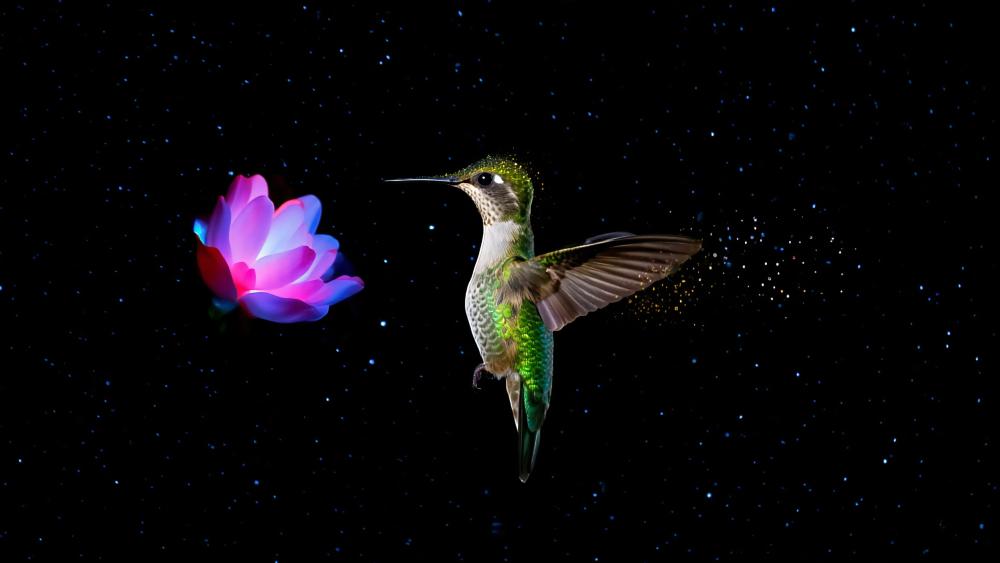 Cosmic Hummingbird wallpaper