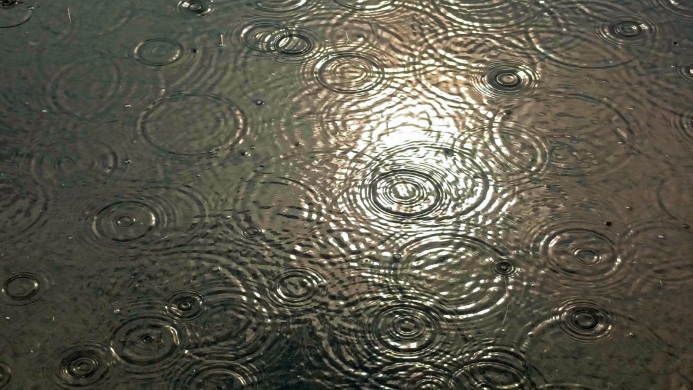 Rain Ripple Symphony wallpaper