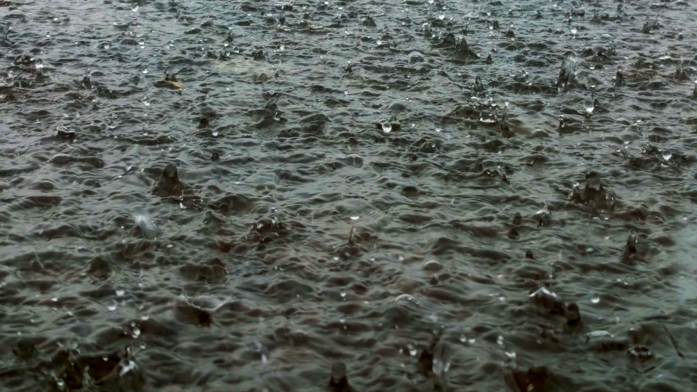 Rain Ripples on Dark Water wallpaper