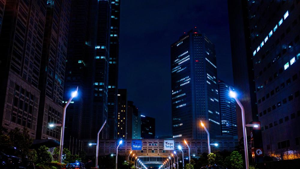 Tokyo Skyline Glowing at Midnight wallpaper