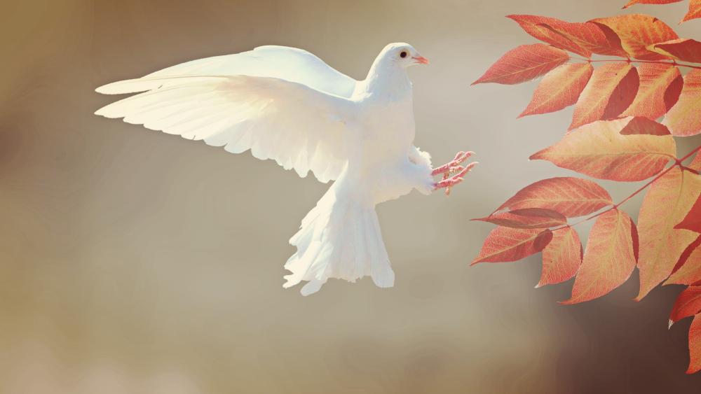 White Dove Orange leaves wallpaper