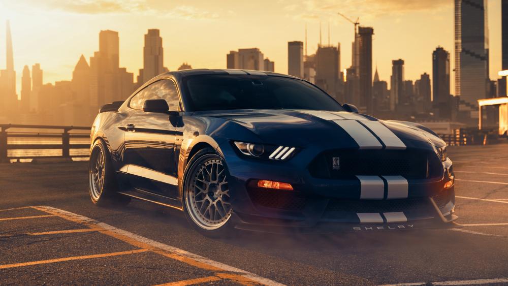 Sunset Shelby GT350 Skyline wallpaper