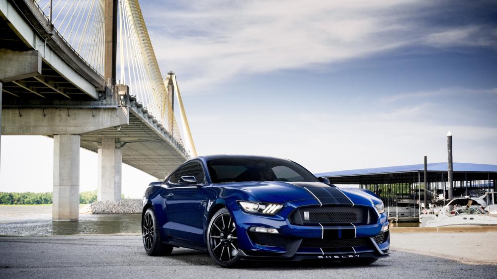 Ford Mustang Shelby GT350 wallpaper