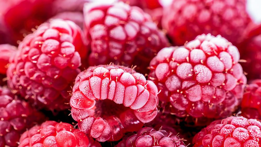 Frozen Raspberries wallpaper