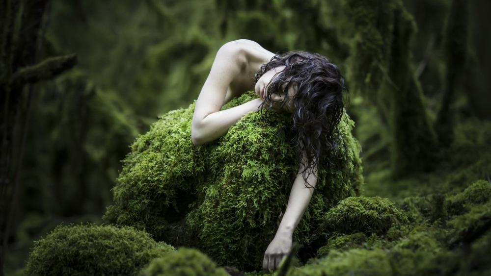 Mossbound Dreamer in the Enchanted Forest wallpaper
