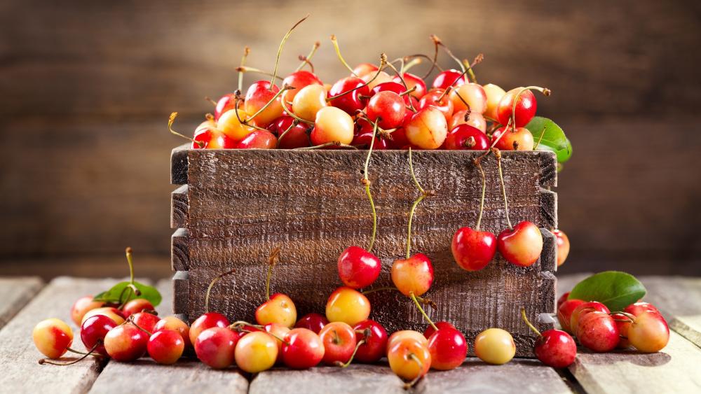 Rustic Cherry Harvest Display wallpaper