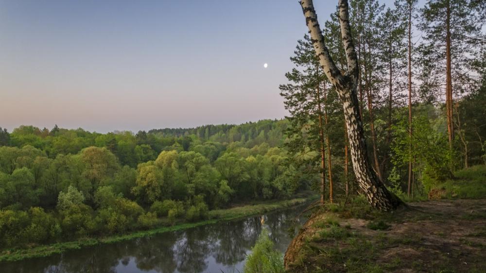 Moonlit River Through Forest wallpaper