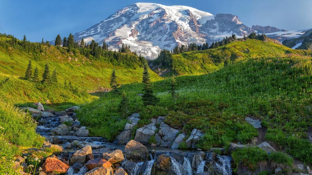 Mount Rainier Alpine Serenity wallpaper