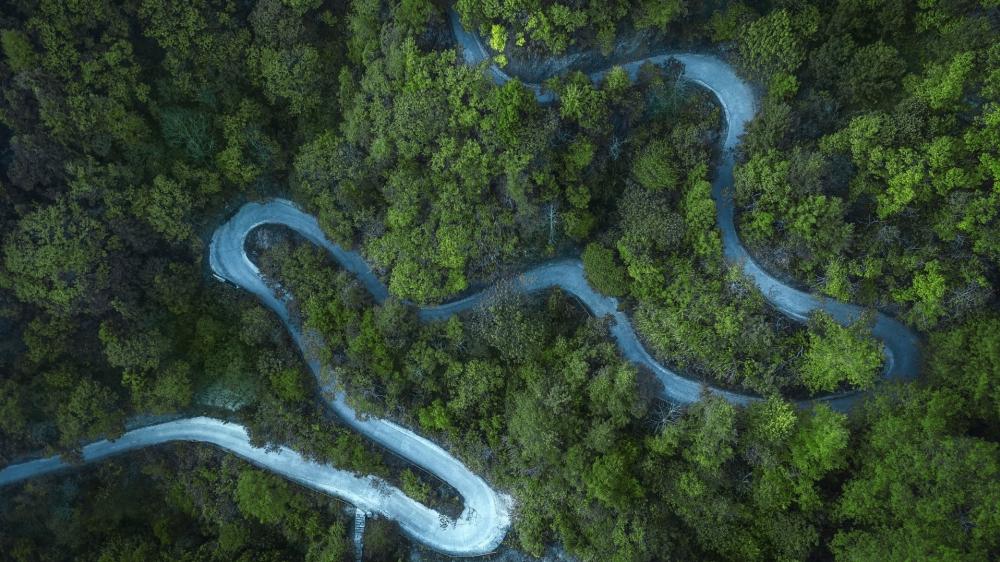 Winding Forest Road from Above wallpaper