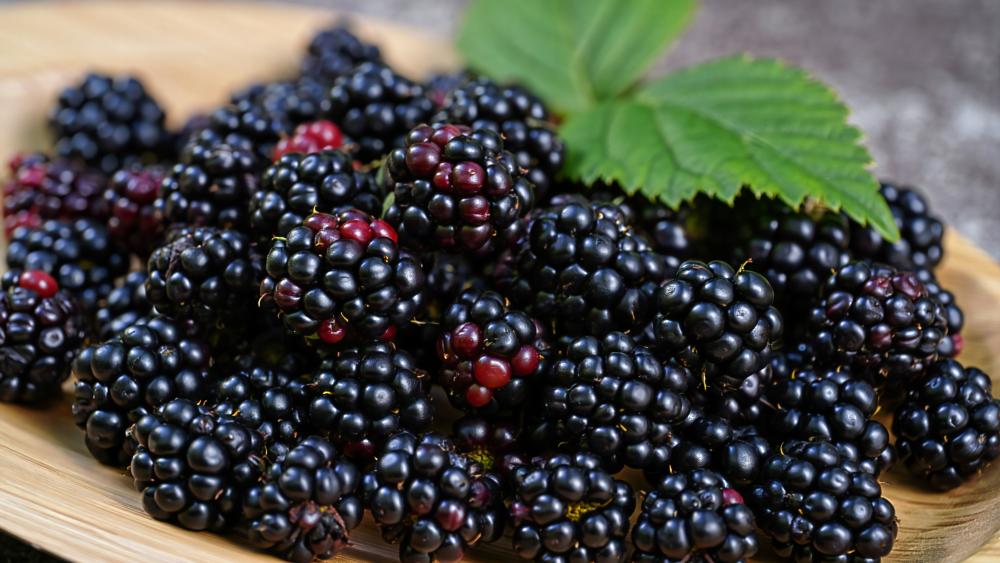Fresh Blackberries on Rustic Board wallpaper