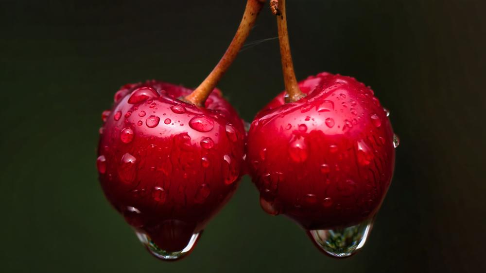 Glossy Rain Kissed Cherries wallpaper