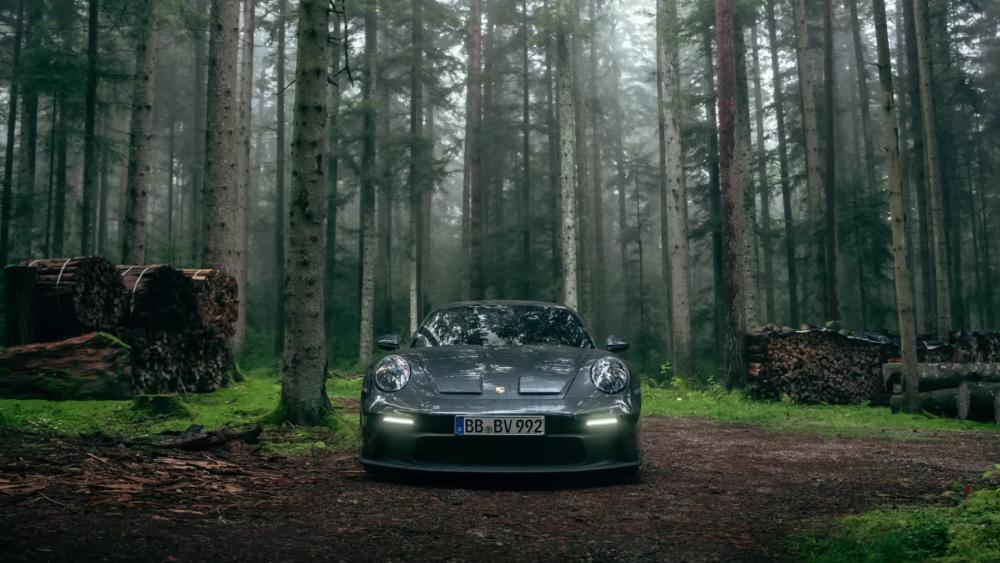 Misty Forest Porsche Drive wallpaper