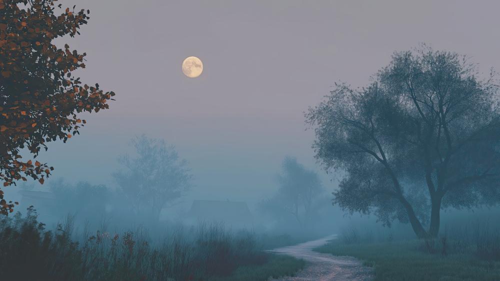 Moonlit Misty Pathway wallpaper