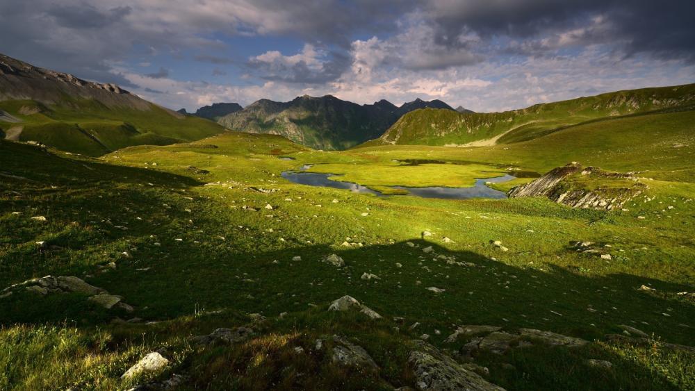 Sunlit Alpine Meadow Valley wallpaper