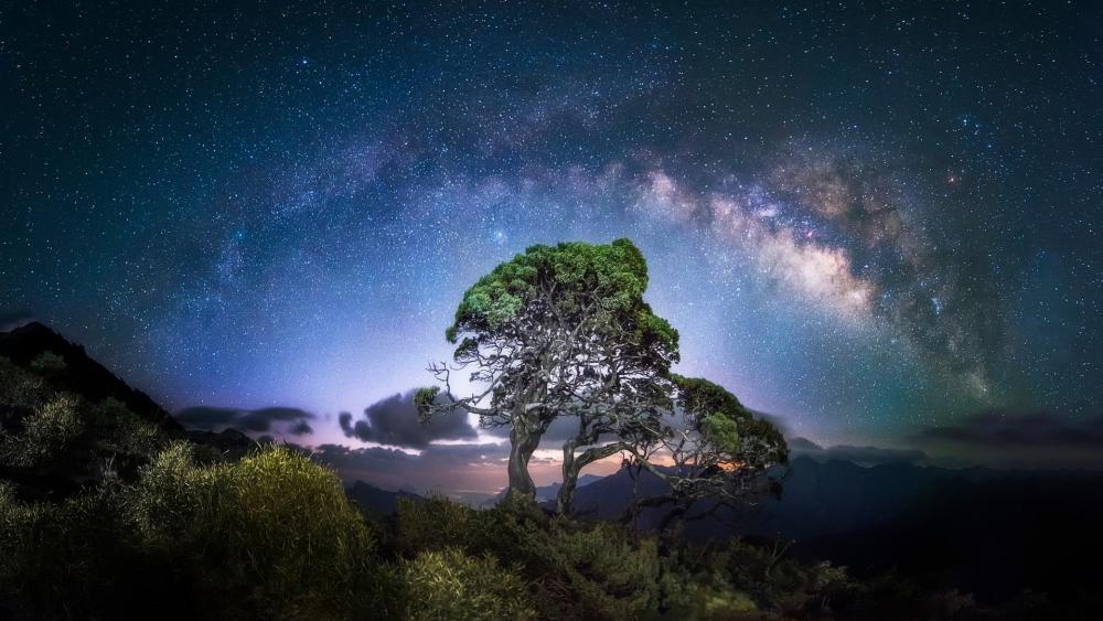 Celestial Tree Beneath the Milky Way wallpaper