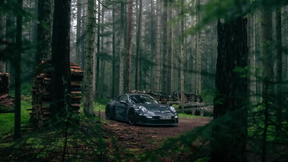 Porsche 911 Hidden Among Forest Shadows wallpaper