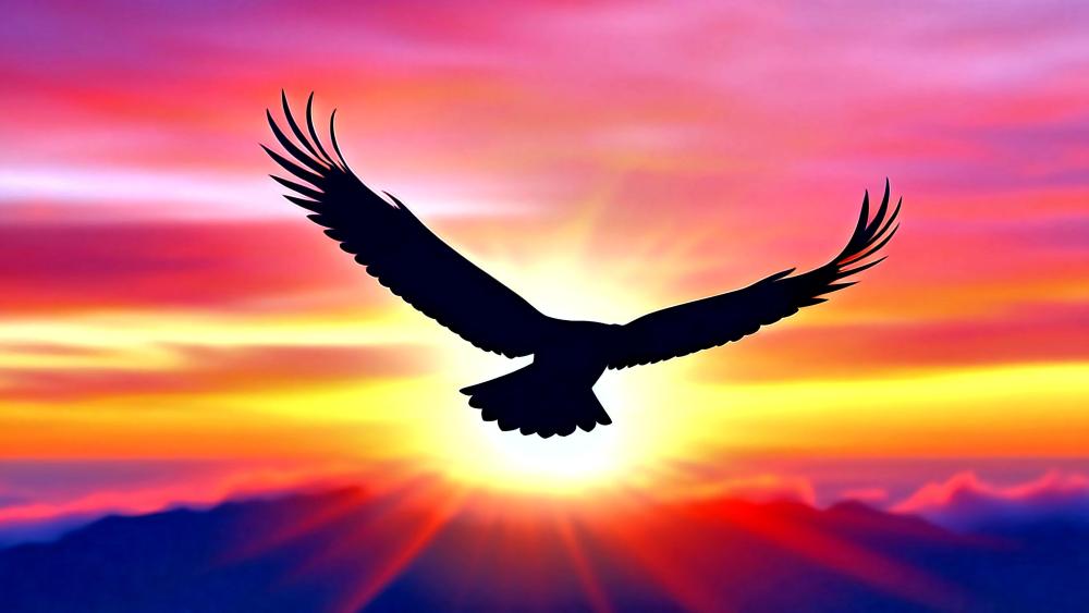 Eagle Silhouette wallpaper